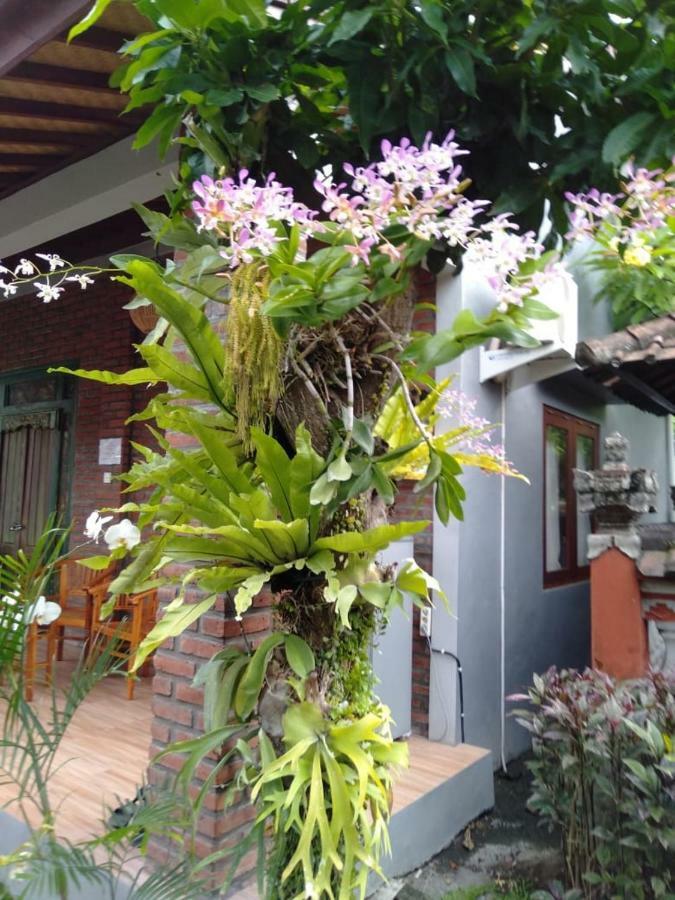 Twins Homestay Canggu Exteriör bild